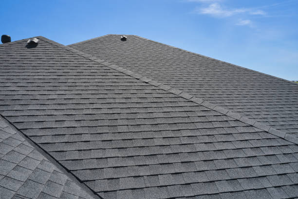 Best Roof Maintenance and Cleaning  in Prince George, VA