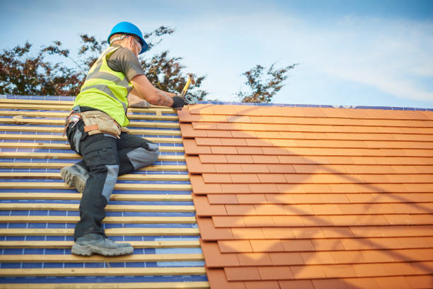 Best Cold Roofs  in Prince George, VA
